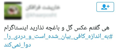 13_copy_copy_copy_copy_copy_copy_copy.jpg