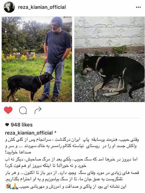 اولین پست رضا کیانیان درباره مرگ سگ حبیب