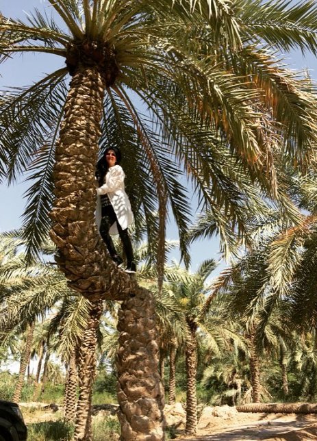 الناز حبیبی بالای درخت الناز حبیبی بالای درخت