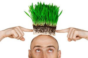 ایده هایی برای آرایش سبزه عید