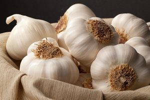 سیر
