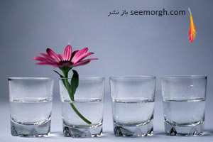 حرمت نگه دار گلم... شعرهایی از حسین پناهی