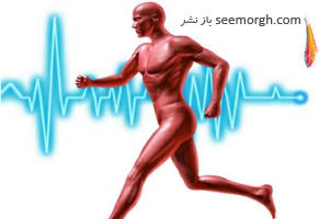نسخه ورزشی چیست؟