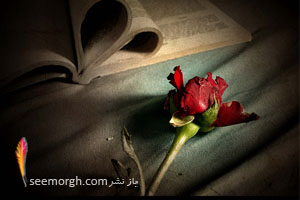 عاشقانه های عباس معروفی