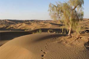 عروس کویر کجاست؟