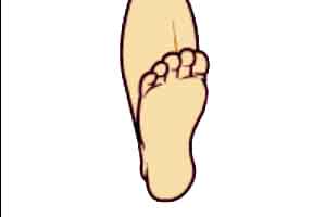 حرکات یوگا - چرخاندن قوزک پا ( Ankle Rotation )