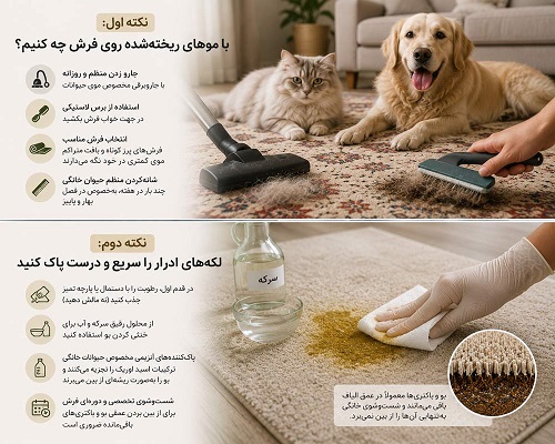 با موهای ریختهشده روی فرش چه کنیم؟ لکههای ادرار را سریع و درست پاک کنید