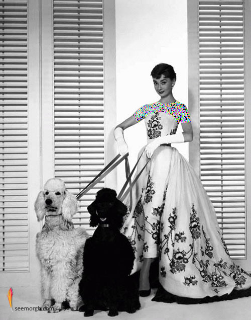 آدری هپبورن Audrey Hepburn آدری هپبورن Audrey Hepburn
